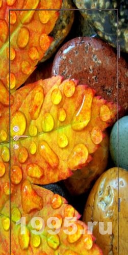 Входная дверь фотопанель Входная дверь фотопанель