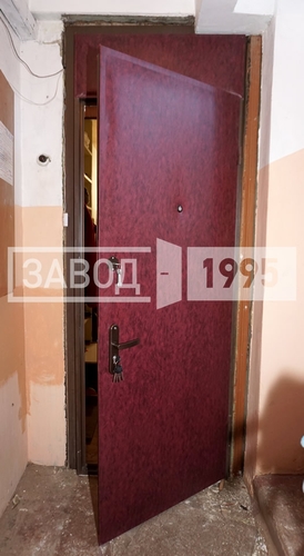 Дверь для клиента из Щелково