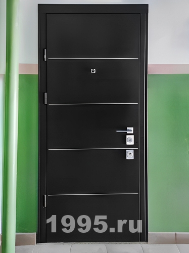 Дверь с молдингами