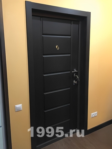 Дверь с панелью цвета венге