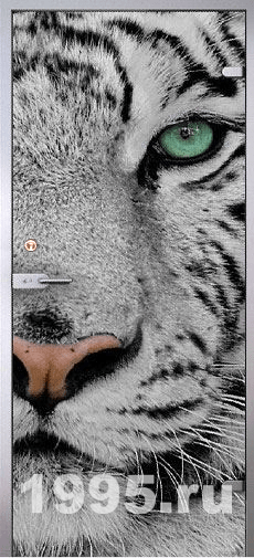 Двери с фотопанелью и МДФ № 16 Двери с фотопанелью и МДФ № 16